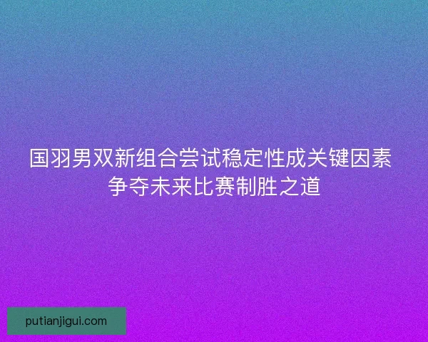 国羽男双新组合尝试稳定性成关键因素 争夺未来比赛制胜之道