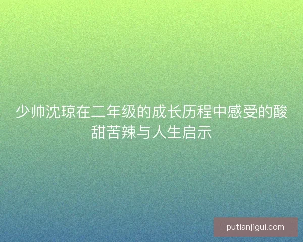 少帅沈琼在二年级的成长历程中感受的酸甜苦辣与人生启示 少帅沈琼在二年级的成长历程中感受的酸甜苦辣与人生启示